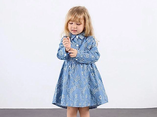 Fisto Brode Nakışlı Elbise