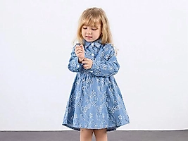 Fisto Brode Nakışlı Elbise